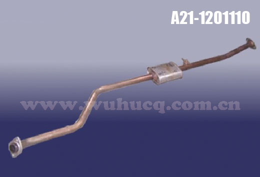 A21-1201110